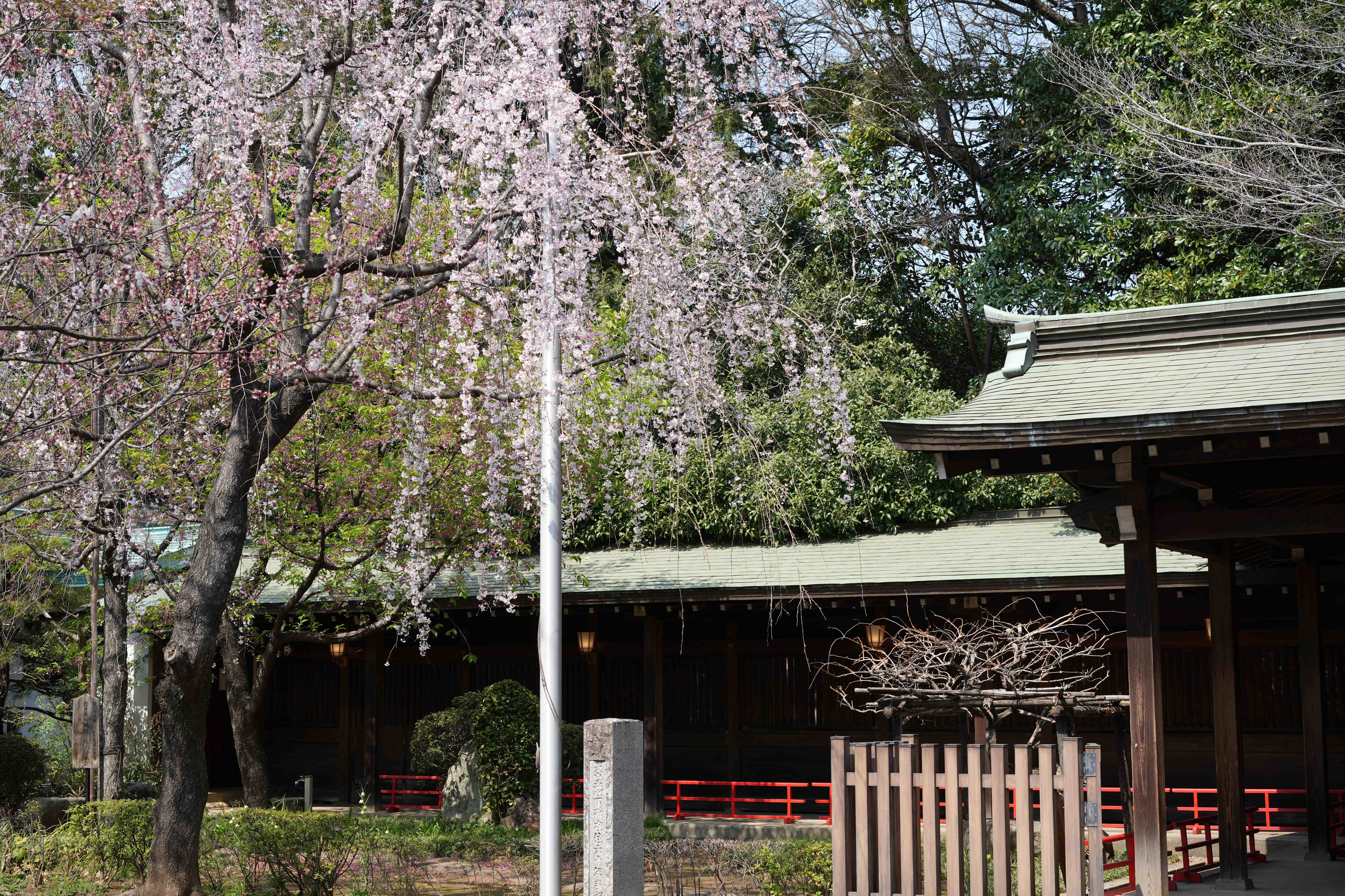 代代木八幡宫