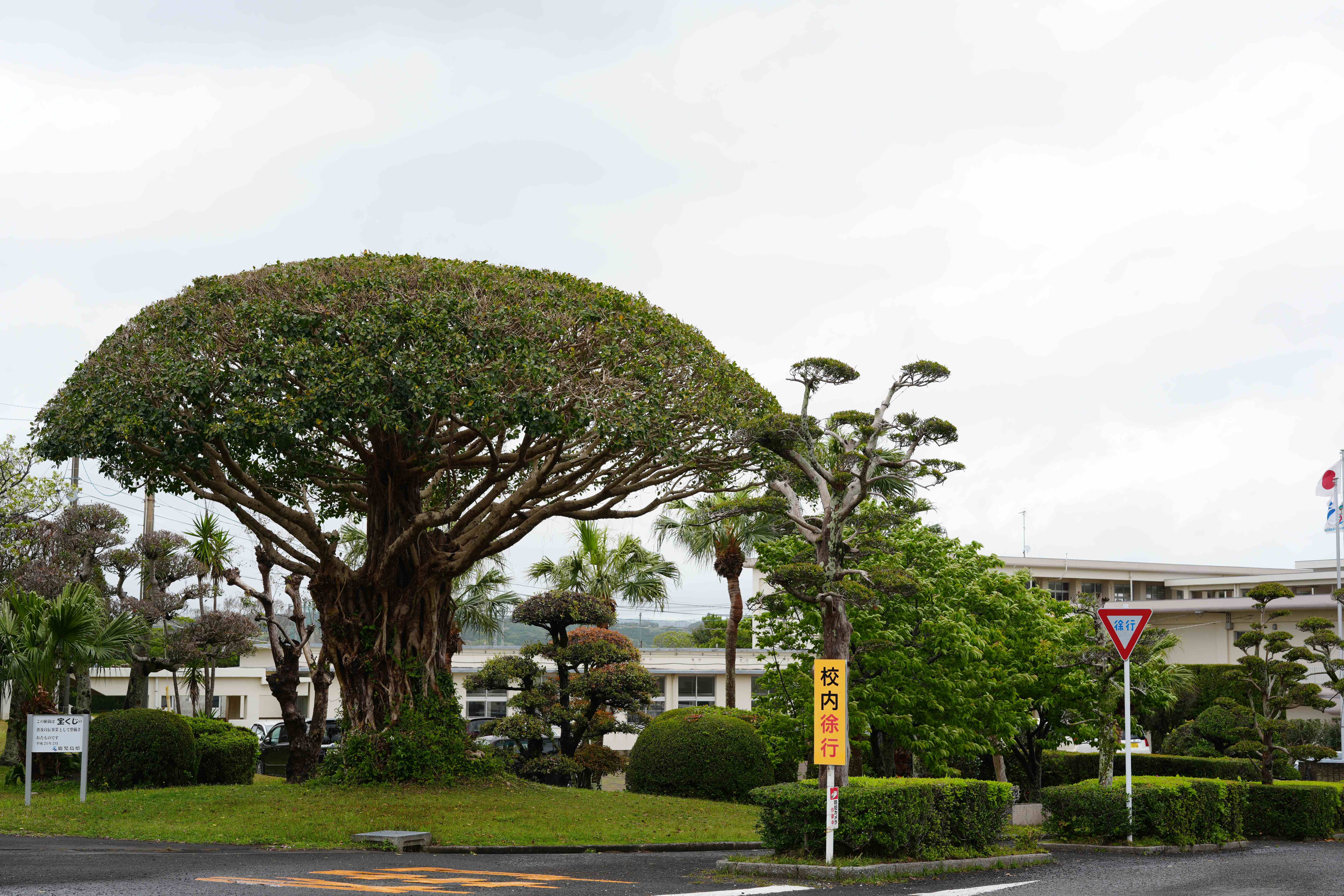 种子岛中央高等学校