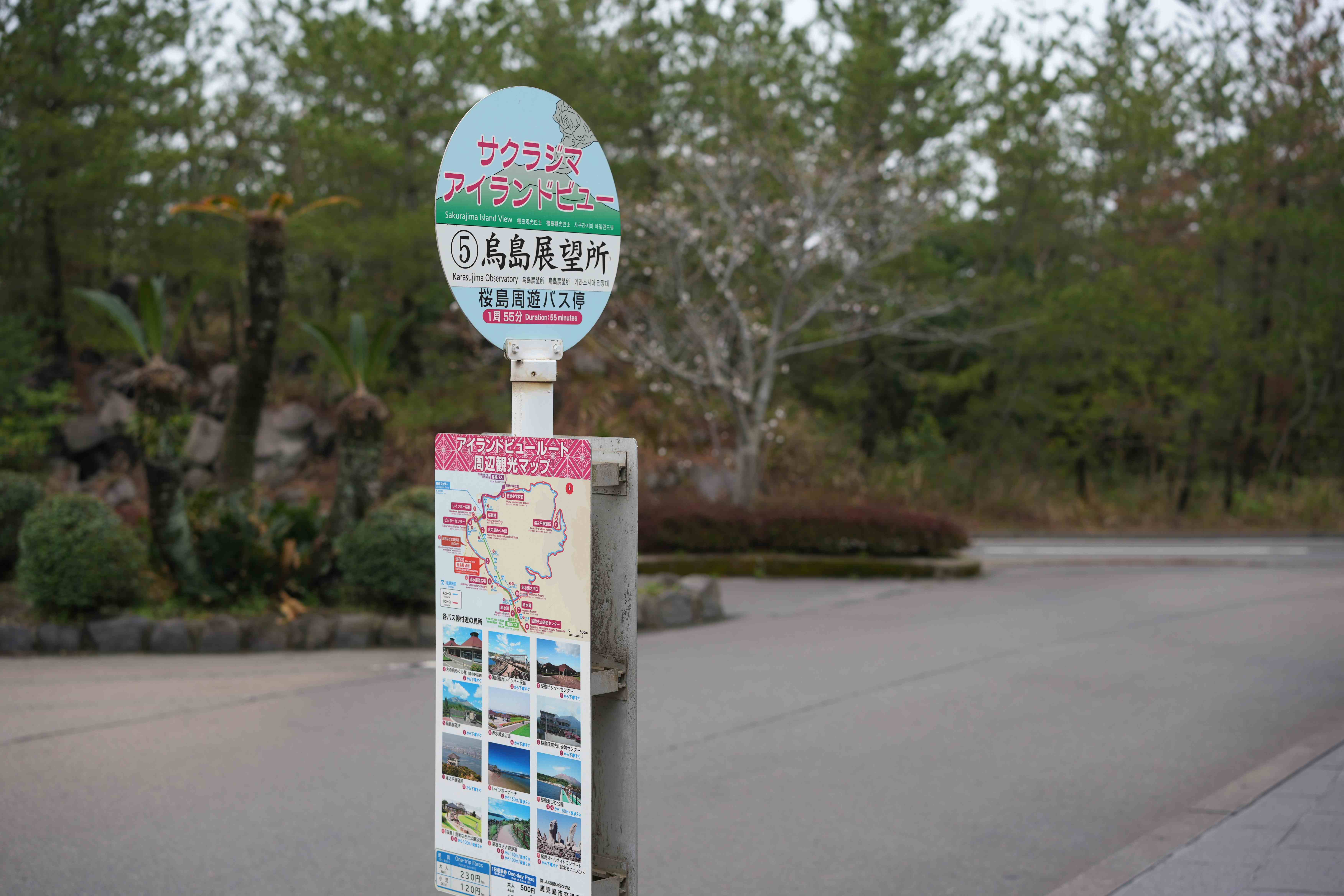 樱岛