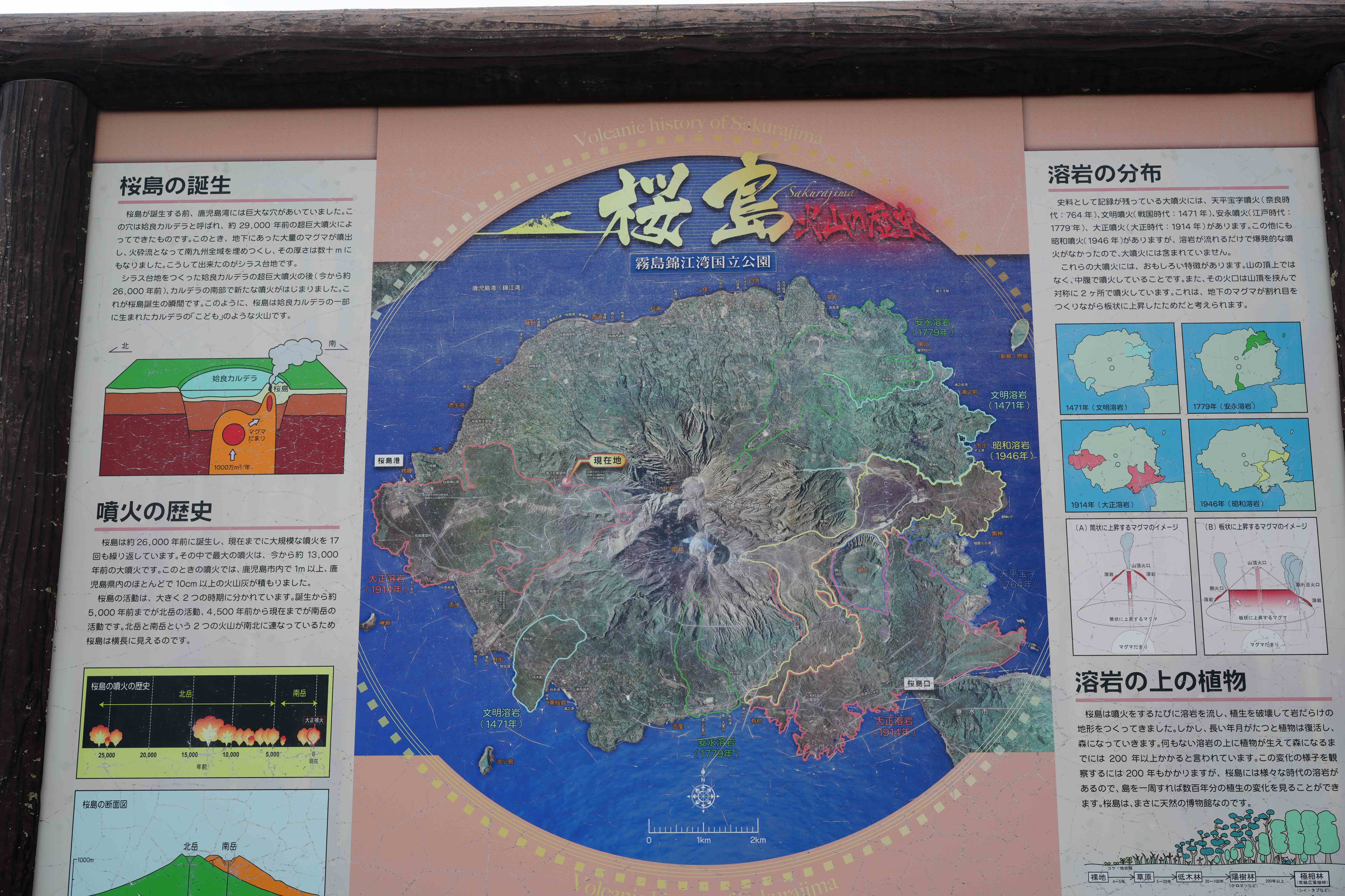 樱岛