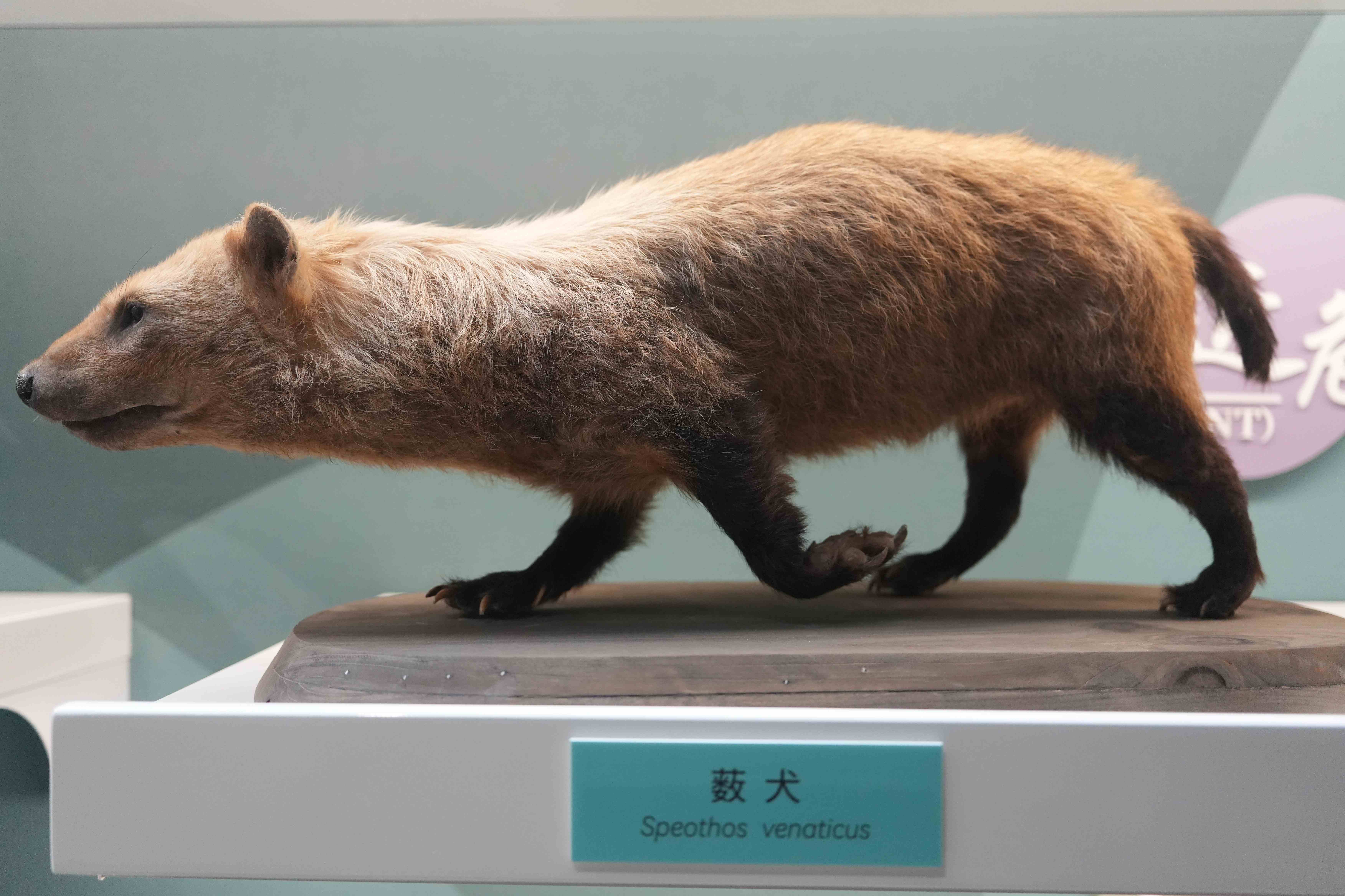 国家自然博物馆