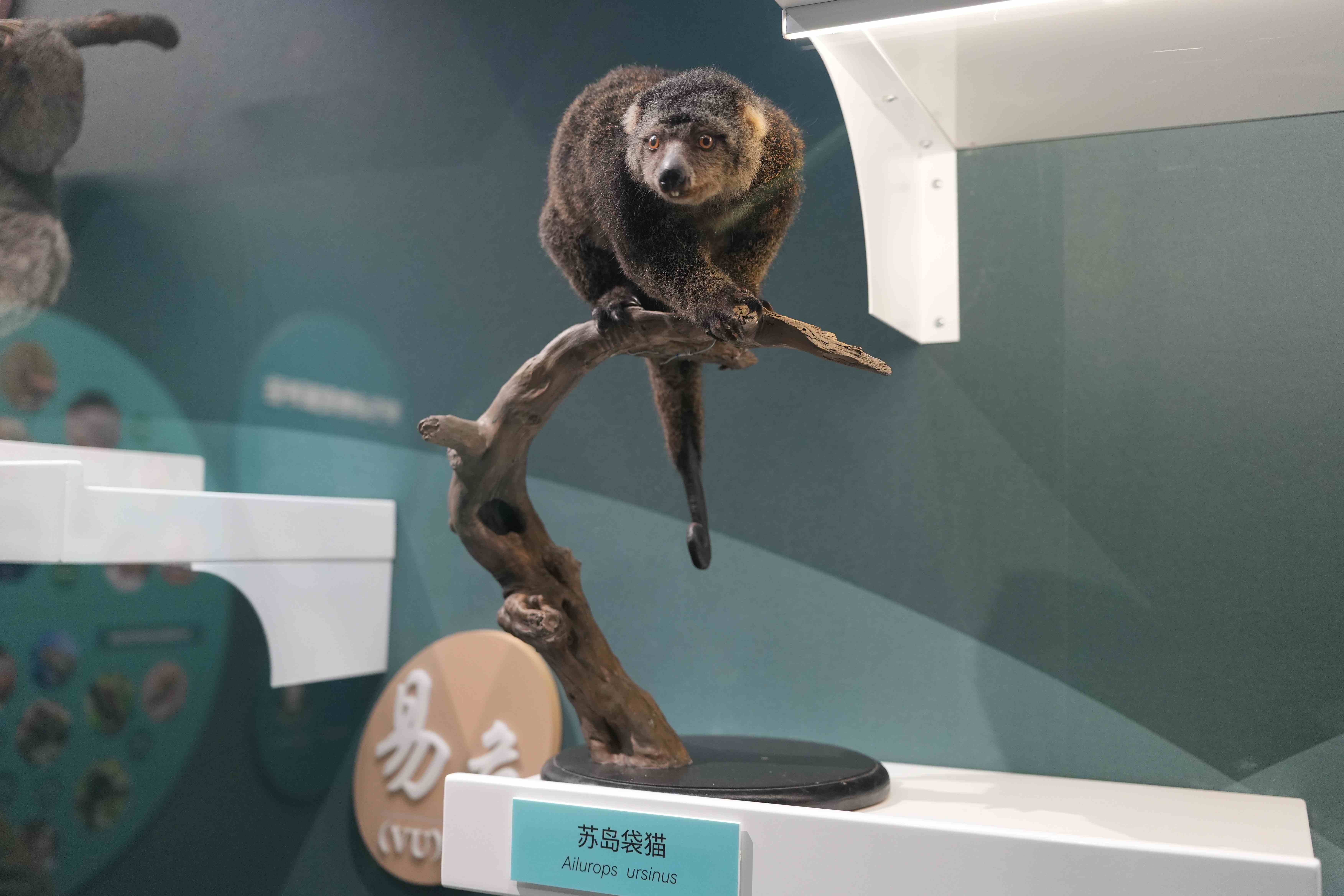 国家自然博物馆