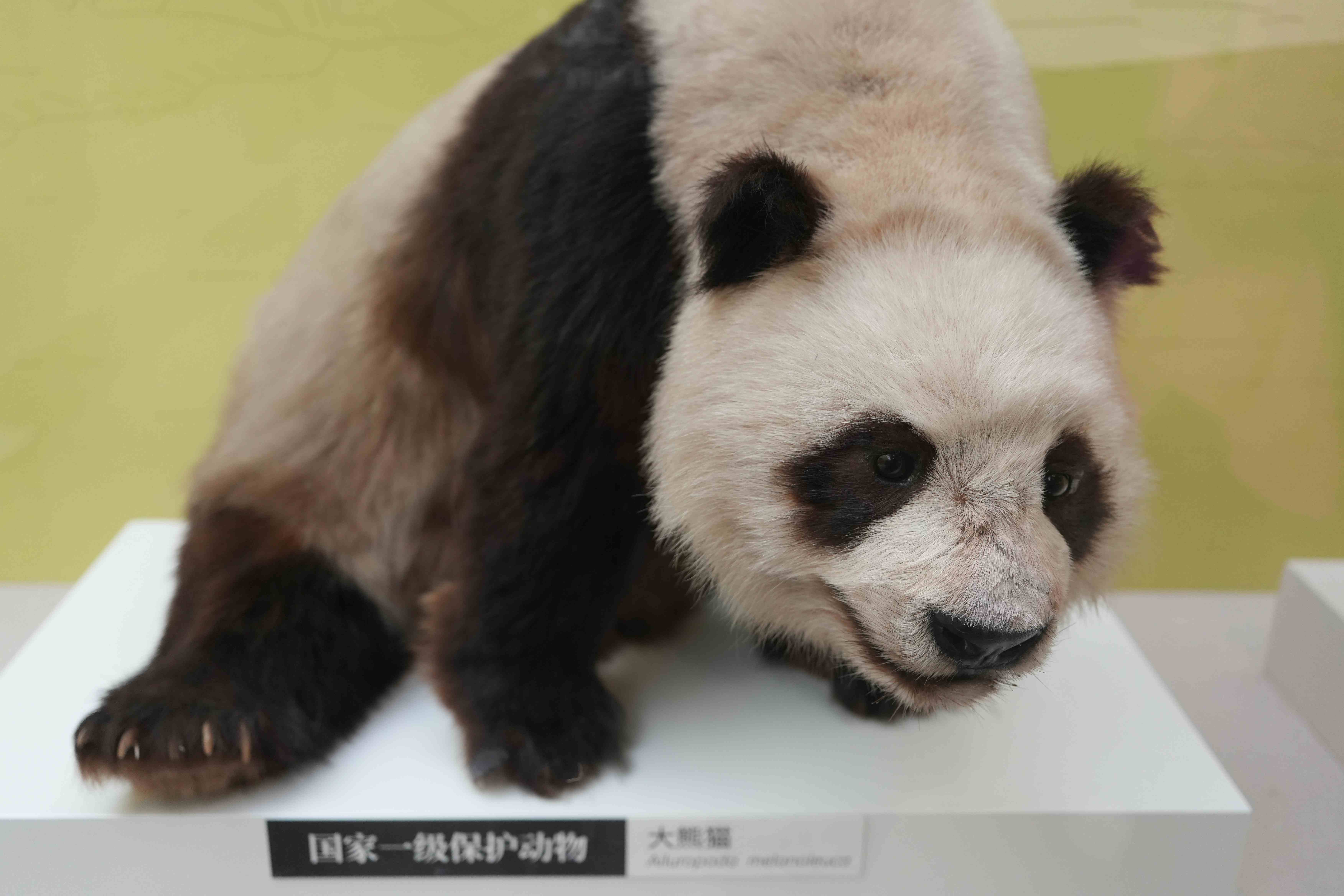 国家自然博物馆