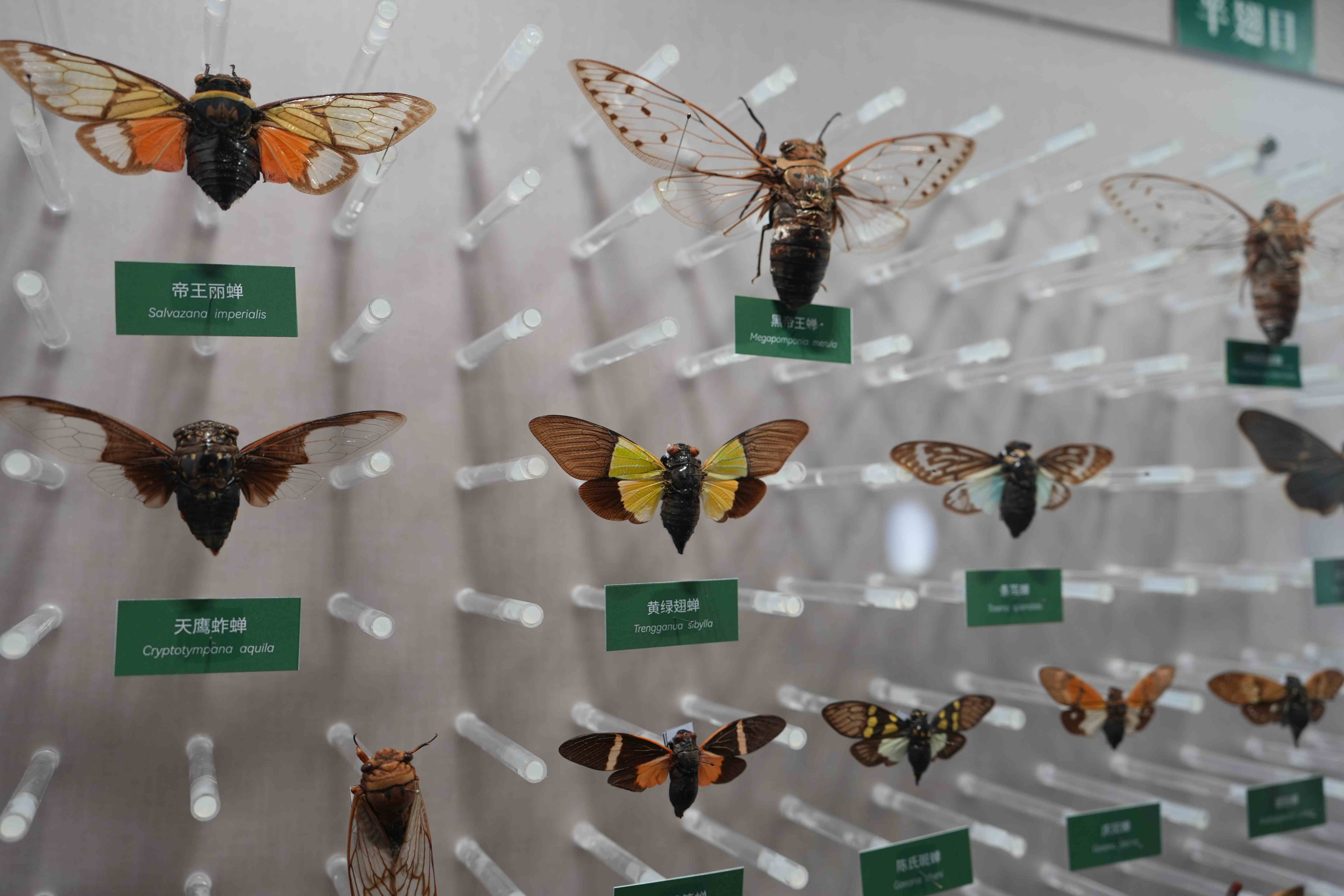 国家自然博物馆