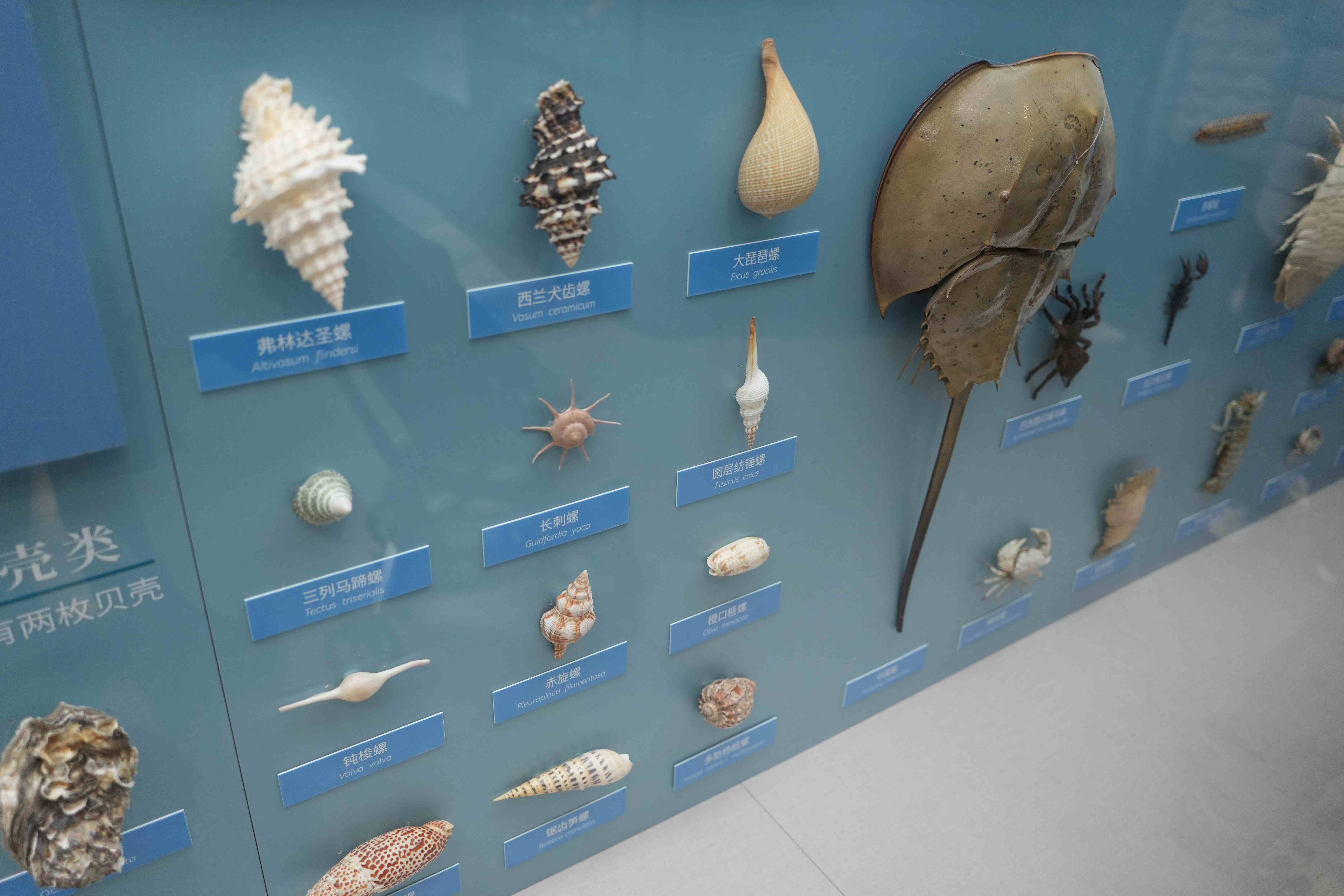 国家自然博物馆